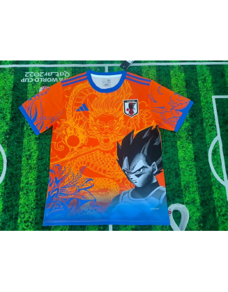 Japan 2025/26