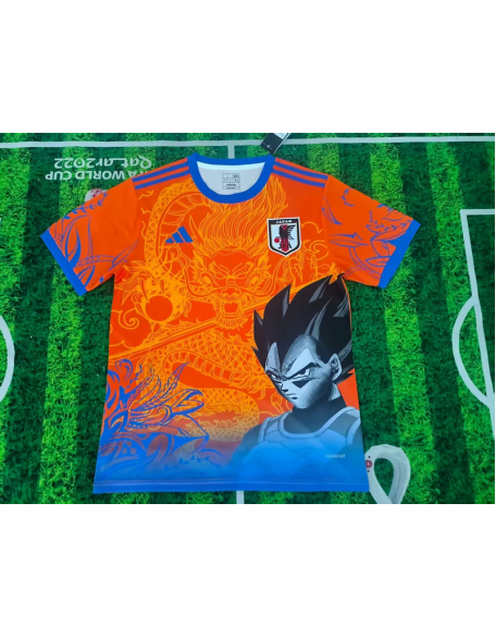 Japan 2025/26
