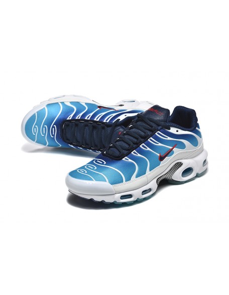 Nike Air Max Plus