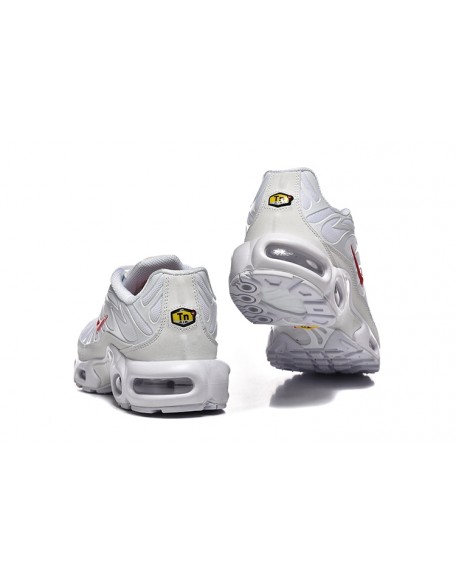 Nike Air Max Plus