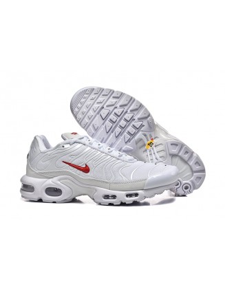 Nike Air Max Plus