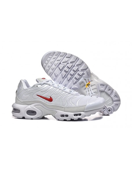 Nike Air Max Plus