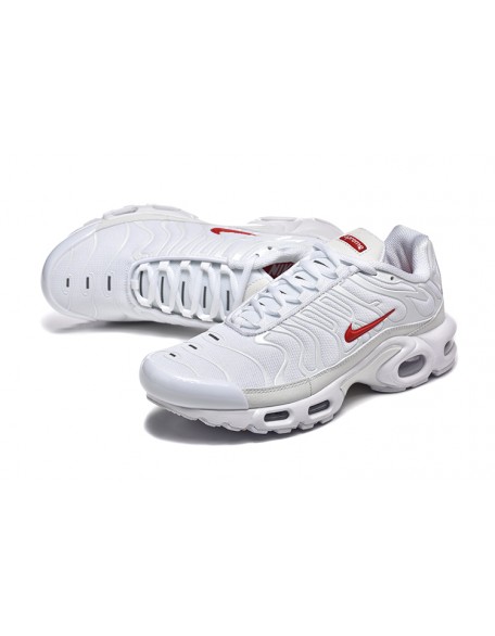 Nike Air Max Plus