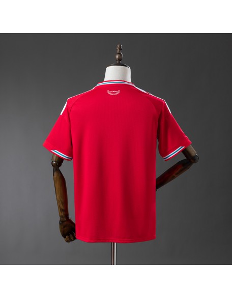 Maillot de Pays de Galles 2026 Maillot de Pays de Galles 2026
