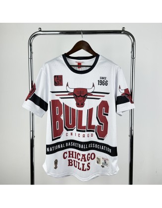 Chicago Bulls