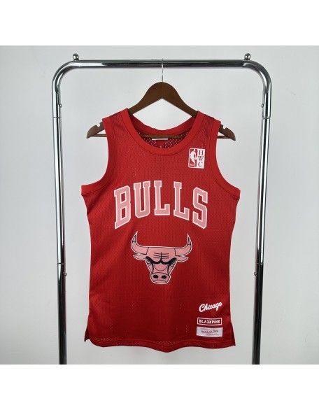 Chicago Bulls