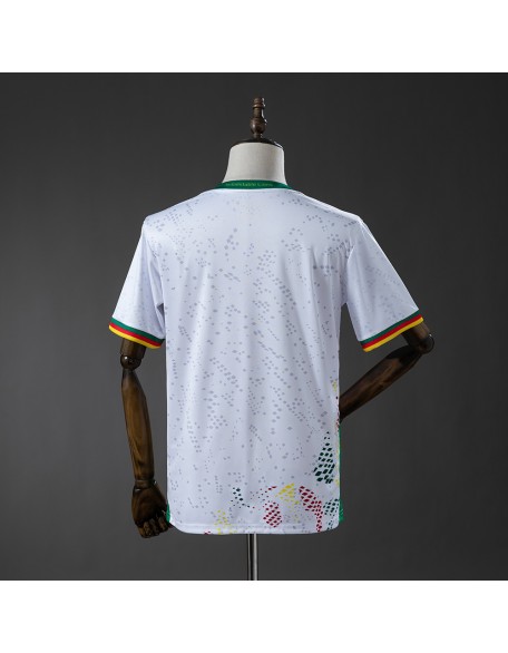 Maillots du Cameroun 2026 Maillots du Cameroun 2026