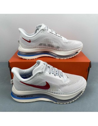 NIKE Pegasus Premium