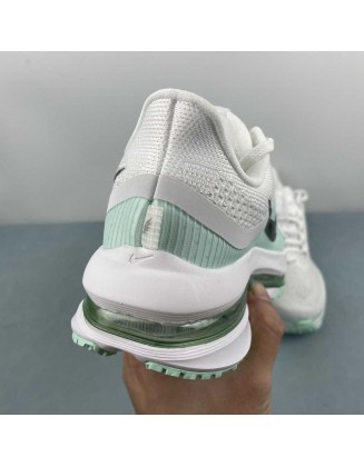 NIKE Pegasus Premium