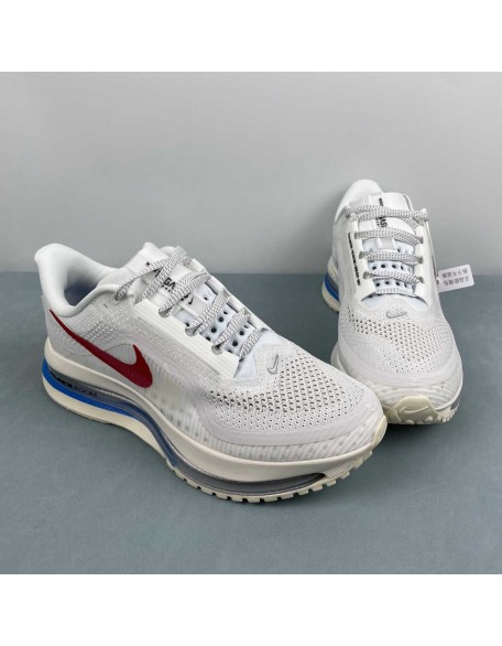 NIKE Pegasus Premium