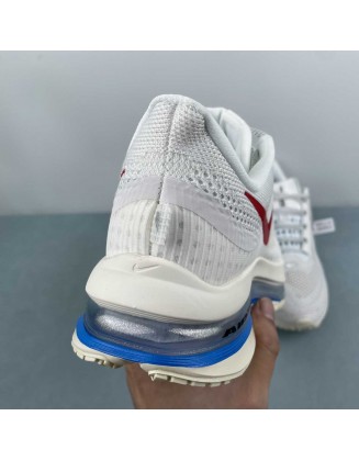 NIKE Pegasus Premium