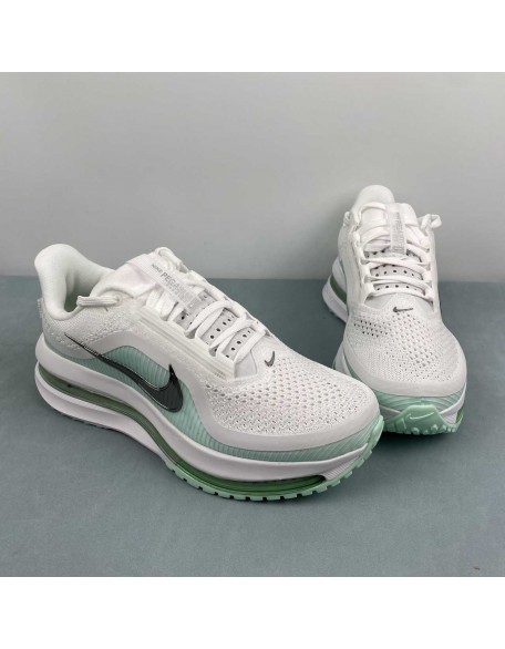NIKE Pegasus Premium