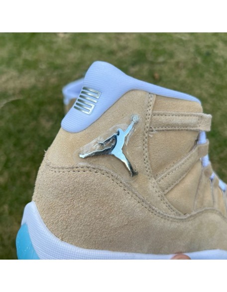 Air Jordan 11