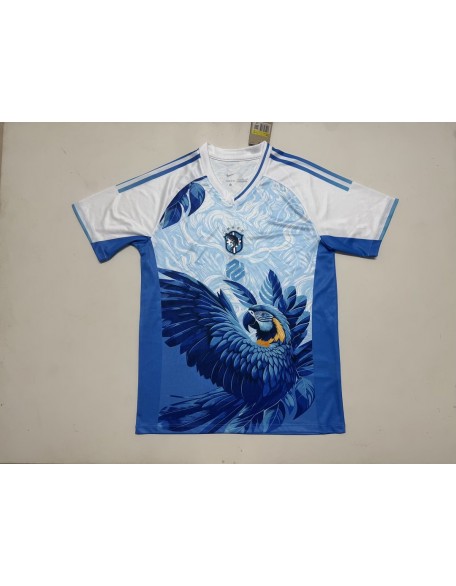 Maillot Brésil 2026