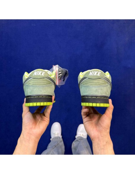 SB Dunk Low