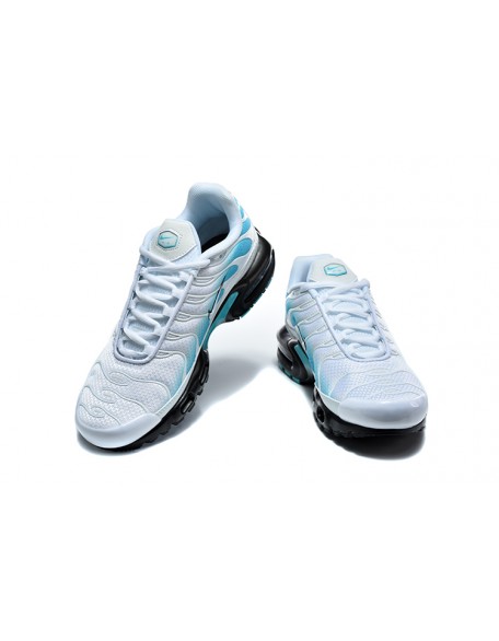 Nike Air Max Plus