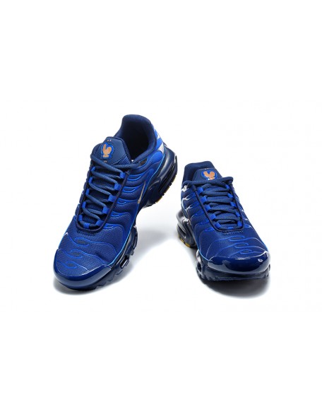 Nike Air Max Plus