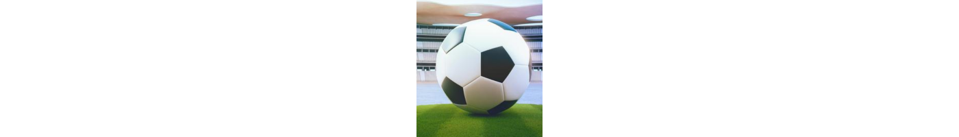Autres ligues de football
